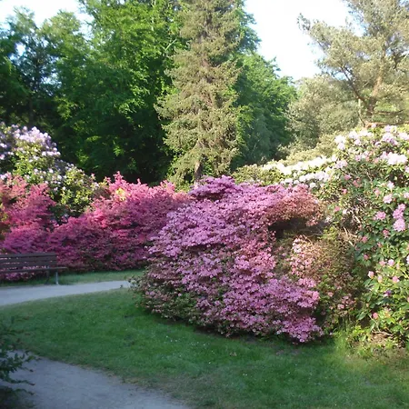 Daire Ferienobjekt Mueritz A16